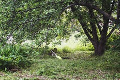 Trimmer lawn mower lies in the grass under the tree. stock images Trimmer lawn mower lies in the grass under the tree. stock images