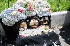 Trio of dead kings stock images Trio of dead kings stock images