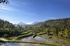 Trio Mountains of Bali Mt Batur, Mt Abang, Mt Agung in the Mor stock photos Trio Mountains of Bali Mt Batur, Mt Abang, Mt Agung in the Mor stock photos