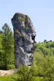 Trique de Hercules Maczuga Herkulesa, Pieskowa Skala, Pologne images libres de droits Trique de Hercules Maczuga Herkulesa, Pieskowa Skala, Pologne images libres de droits