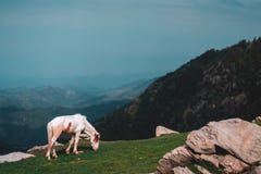 Triund photographie stock Triund photographie stock