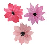 Trois fleurs d'aquarelle illustration libre de droits Trois fleurs d'aquarelle illustration libre de droits