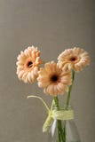 Trois fleurs fraîches dans le vase en verre Image stock Trois fleurs fraîches dans le vase en verre Image stock