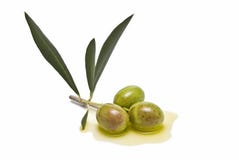 Trois olives sur l'huile d'olive photos stock Trois olives sur l'huile d'olive photos stock