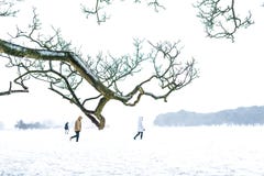 Trois personnes marchant sur la neige photo stock Trois personnes marchant sur la neige photo stock