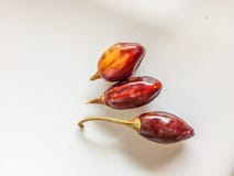 Trois piments rouges de cascabel image libre de droits Trois piments rouges de cascabel image libre de droits