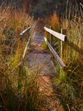 ?troit d'un pont en bois sur une abondance de rivi?re des herbes et des pr?cipitations dans la lumi?re ensoleill?e du lever de so image stock ?troit d'un pont en bois sur une abondance de rivi?re des herbes et des pr?cipitations dans la lumi?re ensoleill?e du lever de so image stock