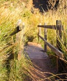 ?troit d'un pont en bois sur une abondance de rivi?re des herbes et des pr?cipitations dans la lumi?re ensoleill?e du lever de so images libres de droits ?troit d'un pont en bois sur une abondance de rivi?re des herbes et des pr?cipitations dans la lumi?re ensoleill?e du lever de so images libres de droits
