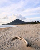 Tronc sur la plage images stock Tronc sur la plage images stock