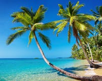 Tropical Beach, Thailand Stock Image Tropical Beach, Thailand Stock Image