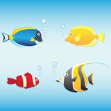 Tropical Fish Collection For Yor Design Stock Photo