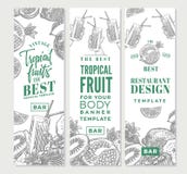 Tropical Fruits Sketch Vertical Banners Royalty Free Stock Images Tropical Fruits Sketch Vertical Banners Royalty Free Stock Images