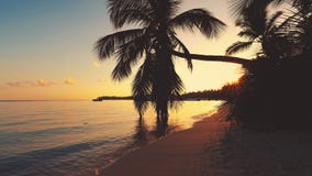 Tropical island with coconut palm trees. Golden sunrise and beautiful sescape. stock footage Tropical island with coconut palm trees. Golden sunrise and beautiful sescape. stock footage