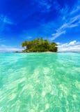 Tropical island with exotic green plants and coconut trees stock photography Tropical island with exotic green plants and coconut trees stock photography