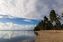 Tropical island paradise - Fijii, isle Beqa royalty free stock photography Tropical island paradise - Fijii, isle Beqa royalty free stock photography