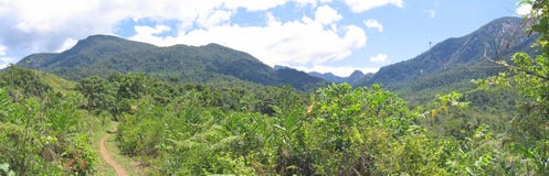 Tropical Jungle And High Mount Stock Image Tropical Jungle And High Mount Stock Image