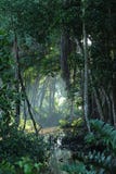 Tropical jungle forest clearing