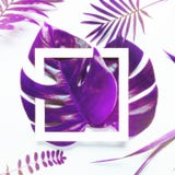 Tropical leaves Monstera and palm in vibrant bold gradient holographic colors. Concept art. Minimal surrealism. stock image Tropical leaves Monstera and palm in vibrant bold gradient holographic colors. Concept art. Minimal surrealism. stock image