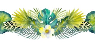 Tropical leaves . Repetition of summer horizontal border. Floral watercolor. Watercolor compositions for the design of vector illustration Tropical leaves . Repetition of summer horizontal border. Floral watercolor. Watercolor compositions for the design of vector illustration