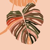 tropical-monstera-leaves-minimalist-styl