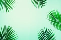 Tropical Palm Leaves On Pastel Blue Background. Minimal Summer Concept. Creative Flat Lay With Copy Space. Top View Stock Photos