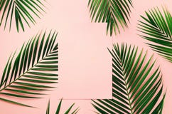 Tropical Palm Leaves On Pastel Pink Background With Paper Card Note. Minimal Summer Concept. Creative Layout. Top View Royalty Free Stock Images