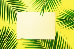Tropical Palm Leaves On Pastel Yellow Background With Paper Card Note. Minimal Summer Concept. Creative Layout. Top View Stock Photography