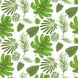 tropical-palm-leaves-seamless-vector-flo