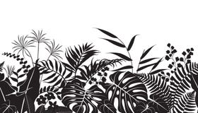 Tropical Plants Silhouette Pattern vector illustration Tropical Plants Silhouette Pattern vector illustration