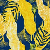 Tropical plants vector illustration Tropical plants vector illustration