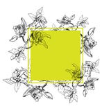 Tropical rectangular square frame with orchids, ink hand drawn flowers on white background, vector illustration vector illustration Tropical rectangular square frame with orchids, ink hand drawn flowers on white background, vector illustration vector illustration