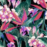 Tropical seamless pattern with exotic flowers