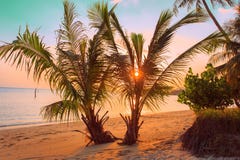 Tropical sunset beach. Thailand, Koh Samui. stock photography Tropical sunset beach. Thailand, Koh Samui. stock photography