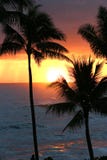 Tropical Sunset on Oahu in Hawaii
