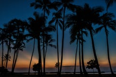 Tropical sunset royalty free stock photo Tropical sunset royalty free stock photo