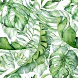 Tropical Watercolor Seamless Pattern With Green Leaves Illustration Stock Image
