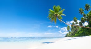 Tropical White Sand Beach stock photography Tropical White Sand Beach stock photography