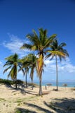 tropikalny na plaży Kuba - Hawańska plaża Zdjęcie Royalty Free tropikalny na plaży Kuba - Hawańska plaża Zdjęcie Royalty Free