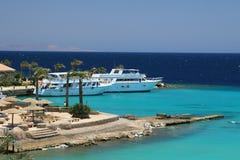 tropikalny plażowy Egypt fotografia stock tropikalny plażowy Egypt fotografia stock