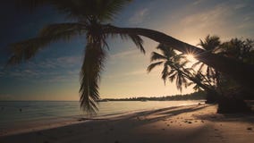Tropikalny raj wyspy widok plaża z jachtami i palmami, widzieć spod drzewek palmowych, wschód słońca sceneria, ranek zbiory Tropikalny raj wyspy widok plaża z jachtami i palmami, widzieć spod drzewek palmowych, wschód słońca sceneria, ranek zbiory