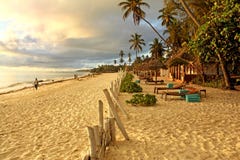 Tropisch exotisch strand op zonnige ochtend in Zanzibar royalty-vrije stock afbeelding Tropisch exotisch strand op zonnige ochtend in Zanzibar royalty-vrije stock afbeelding