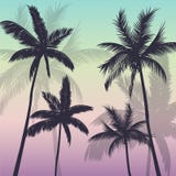 Tropisch Palmensilhouet als achtergrond stock illustratie Tropisch Palmensilhouet als achtergrond stock illustratie