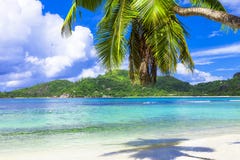 Tropisch strandlandschap, het eiland van Seychellen Mahe royalty-vrije stock afbeelding Tropisch strandlandschap, het eiland van Seychellen Mahe royalty-vrije stock afbeelding