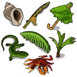 Tropische Anlagen, Stange, Krabbe, Eidechse und andere stock abbildung Tropische Anlagen, Stange, Krabbe, Eidechse und andere stock abbildung