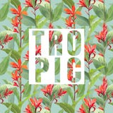 Tropische Bloemen en Bladeren Exotische Achtergrond vector illustratie Tropische Bloemen en Bladeren Exotische Achtergrond vector illustratie