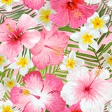 Tropische Bloemen en Bladerenachtergrond vector illustratie Tropische Bloemen en Bladerenachtergrond vector illustratie