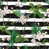 Tropische Palmbladen en van Orchideebloemen Achtergrond Naadloos patroon stock illustratie Tropische Palmbladen en van Orchideebloemen Achtergrond Naadloos patroon stock illustratie