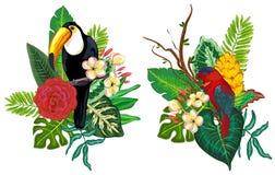 Tropische Sammlung des Vektors mit exotischen Blumen, Blättern und Vögeln lizenzfreie abbildung Tropische Sammlung des Vektors mit exotischen Blumen, Blättern und Vögeln lizenzfreie abbildung