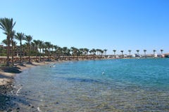 Tropische toevlucht in Egypte Palmen overzees zandstrand De mensen rusten op strand Royalty-vrije Stock Fotografie Tropische toevlucht in Egypte Palmen overzees zandstrand De mensen rusten op strand Royalty-vrije Stock Fotografie