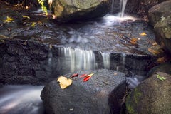 Tropischer Nebenfluss mit Wasserfall in Nord-Queensland stockbilder Tropischer Nebenfluss mit Wasserfall in Nord-Queensland stockbilder